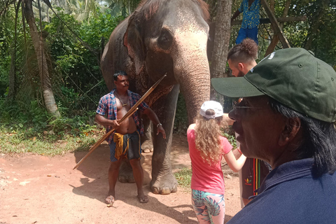 La migliore guida di viaggio dello Sri Lanka: Attrazioni principali Scoprire
