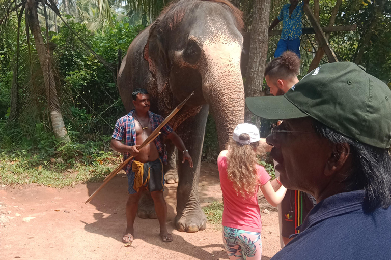 La migliore guida di viaggio dello Sri Lanka: Attrazioni principali Scoprire