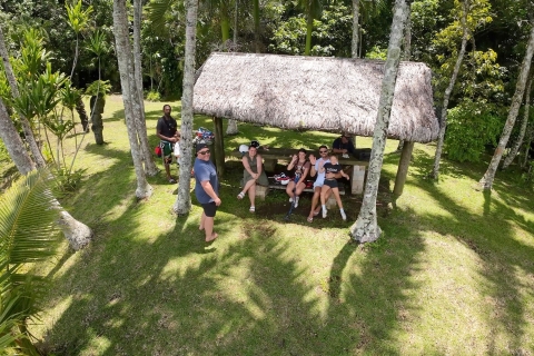 Port Vila: Jungle Walk and Suspension SkyBridge