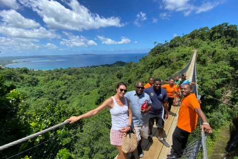 Port Vila: Dschungelwanderung und Hängebrücke SkyBridge