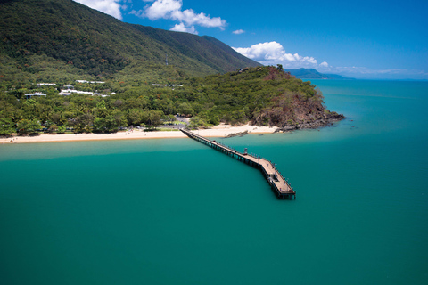 Cairns: Aquarium Visit and City Sightseeing Tour with Lunch