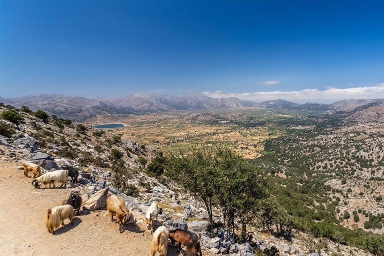 Heraklion: Safari al tramonto con cena e proseccoKato Gouves: Safari al tramonto con cena e prosecco illimitato