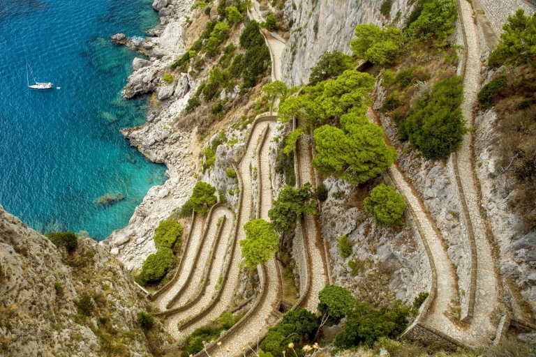 From Napoli: Guided Private Tour to Capri Guided private tour 3 - 5 pax