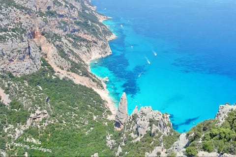 Baunei: Cala Goloritzè Trekking Tour with A Guide