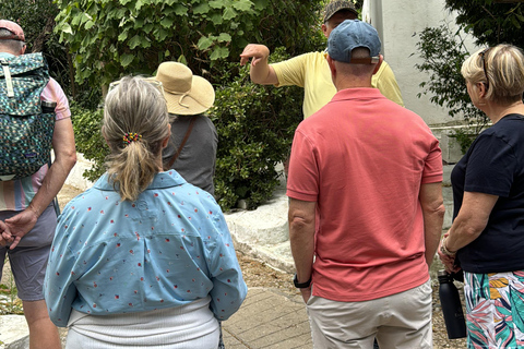 Tour privato di Tangeri da Tarifa con pranzo incluso