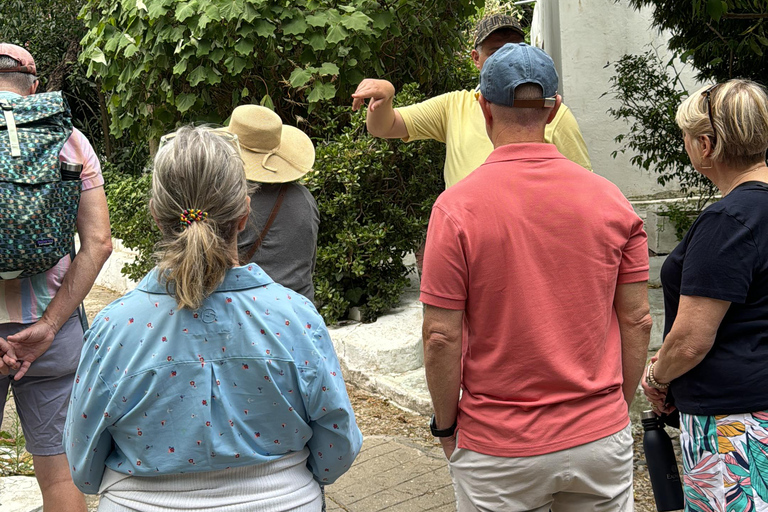 Tánger Tour Privado Desde Tarifa Incluye almuerzo