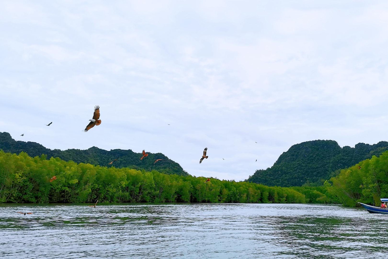 Langkawi Signature Mangrove Discovery Bootstour (geteilt)Signature Mangrove Discovery Bootstour - 4 Stunden (geteilt)