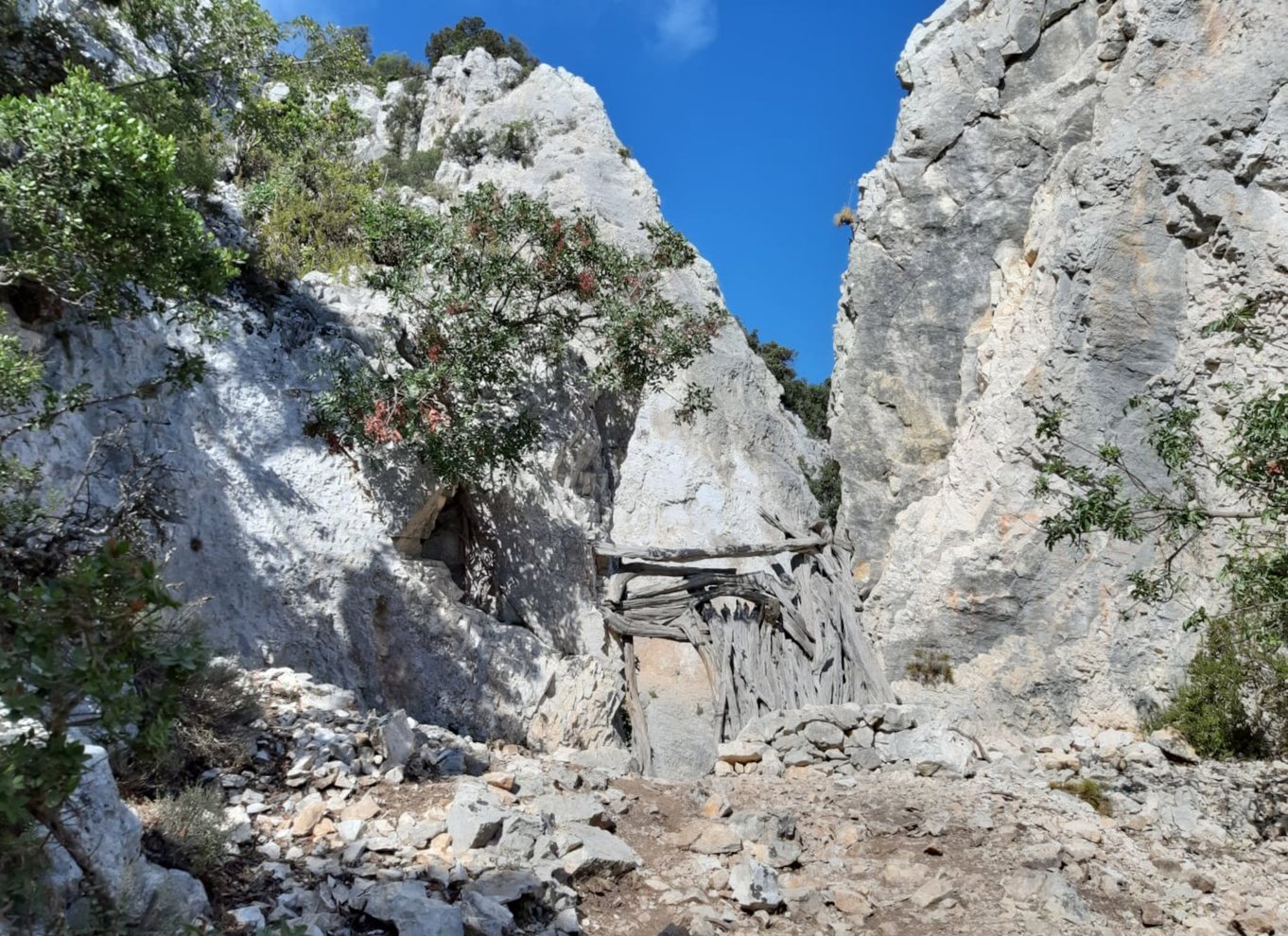 Fra Baunei: Vandretur til Cala Mariolu