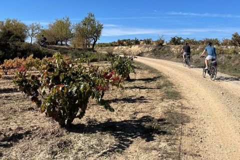 Desde Bilbao: Ruta del Vino de La Rioja en E-Bike con Catas de Vino
