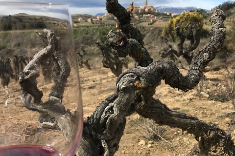 From Bilbao: La Rioja Wine Tour by E-Bike with Wine Tastings