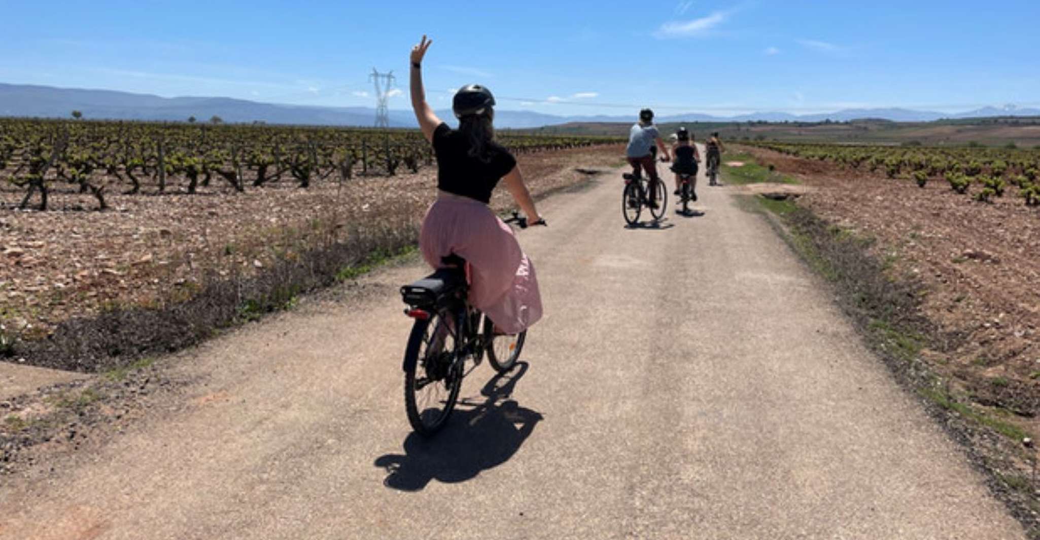 From Bilbao, La Rioja Wine Tour by E-Bike with Wine Tastings - Housity