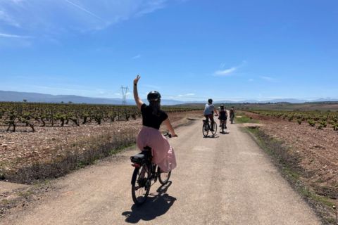 From Bilbao: La Rioja Wine Tour by E-Bike with Wine Tastings