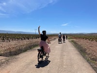 Da Bilbao, La Rioja Wine Tour di E-Bike con degustazioni di vino - Housity