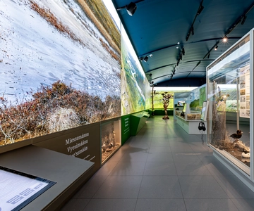 Inari: Siida - Sámi Museum and Nature Centre Ticket