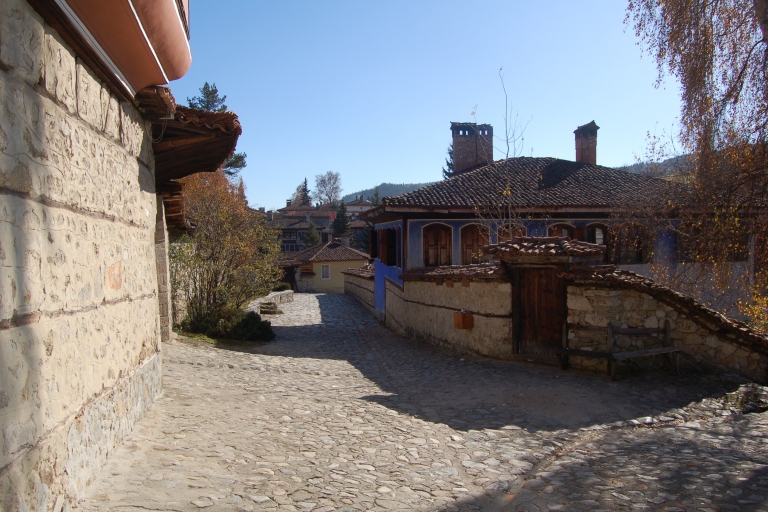 Desde Sofía: Koprivshtitsa y Visita a Casas Históricas con Traslado