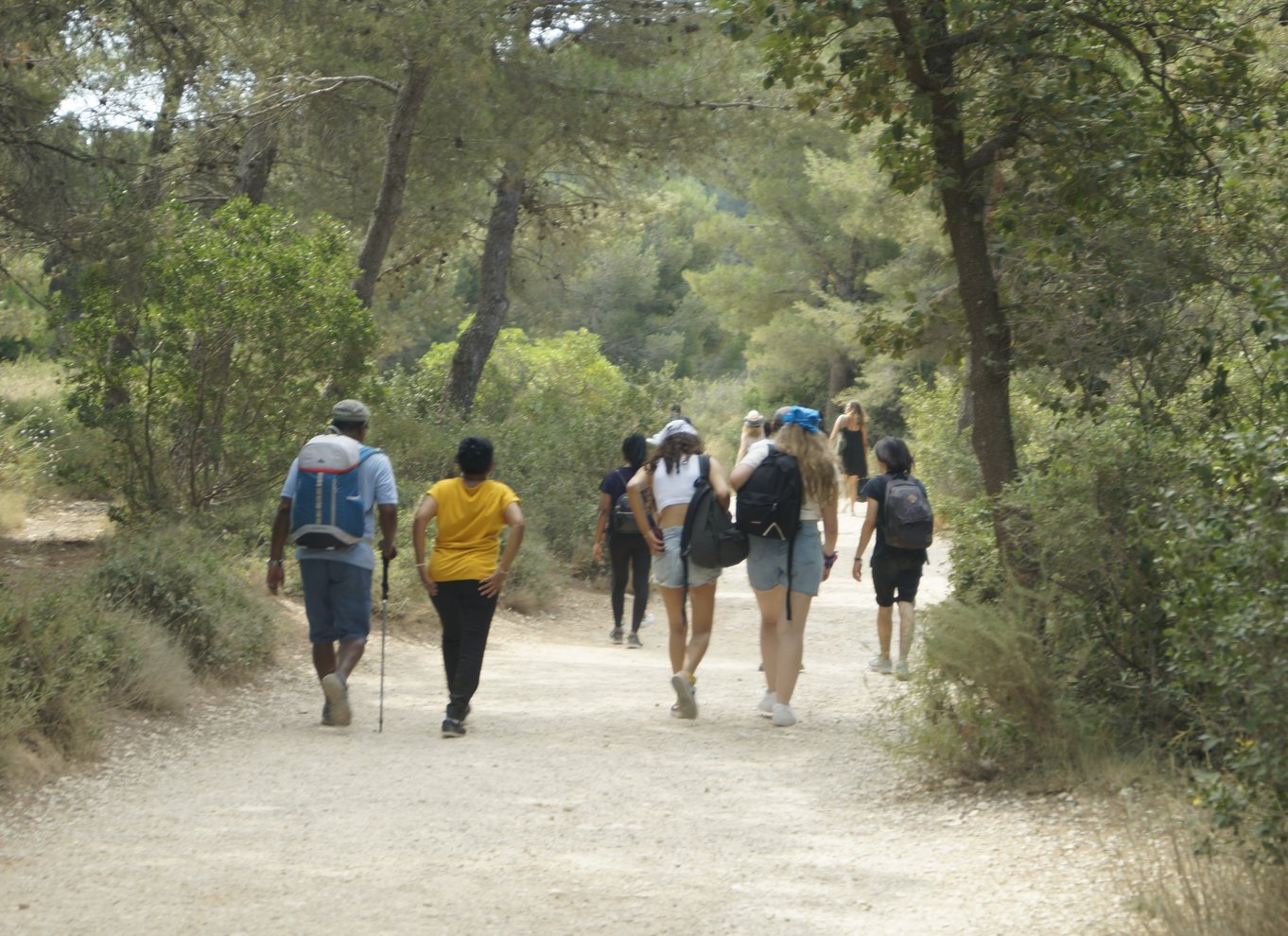 Marseille: Guidet vandretur i Calanques Nationalpark med picnic