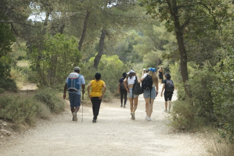 Van Marseille: wandeling in het nationale park CalanquesWandelen naar de Calanques