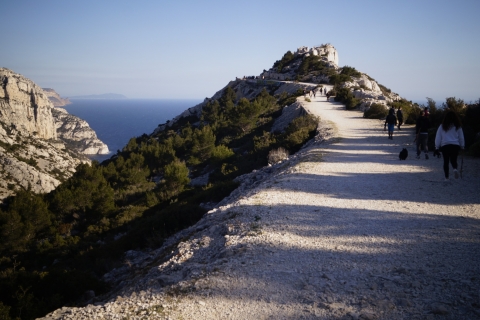 Van Marseille: wandeling in het nationale park CalanquesWandelen naar de Calanques privé winter
