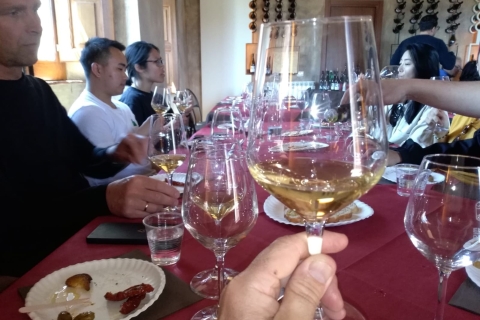 Vanuit Syracuse: Dagtrip naar de Etna Trekking met wijnproeverijEngelse rondleiding