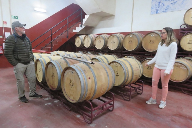 Au départ de Lagos : Visite privée des vignobles de l'Algarve avec dégustations