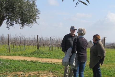 Z Lagos: prywatna wycieczka po winnicach Algarve z degustacjami