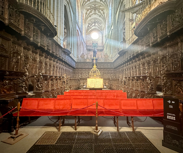 Astorga: Astorga Cathedral & South Tower Tour with Entry