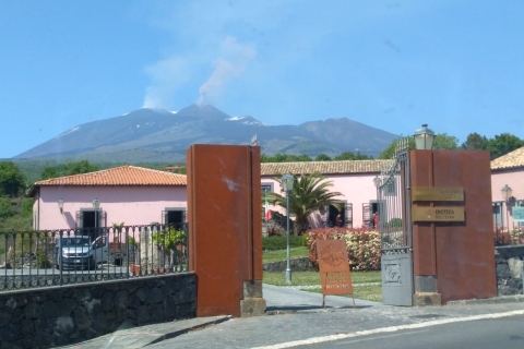 From Syracuse: Mt. Etna trekking and Wine tasting