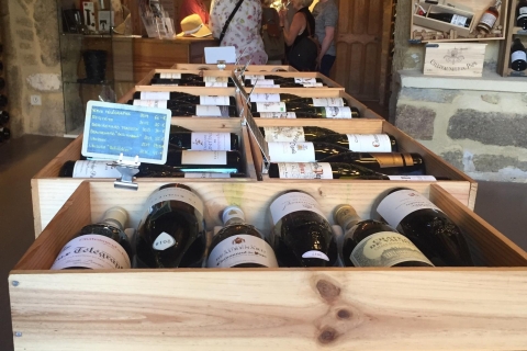 Marseille: Avignon and Côtes du Rhône Wine Tasting Day Tour