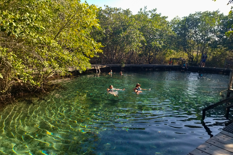 Holbox, lunch i czas wolny z CancunThe Best of Holbox z Cancun