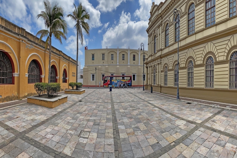 Veracruz: zwiedzanie miasta i muzeum figur woskowych i Ripley's