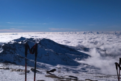 Vanuit Granada: Sneeuwschoenwandeling Sierra Nevada