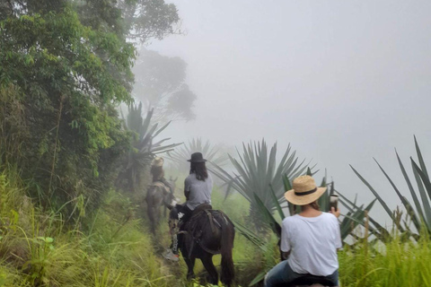 Santa Marta: Kogi Indigenous Community Cultural Experience (1 Day)