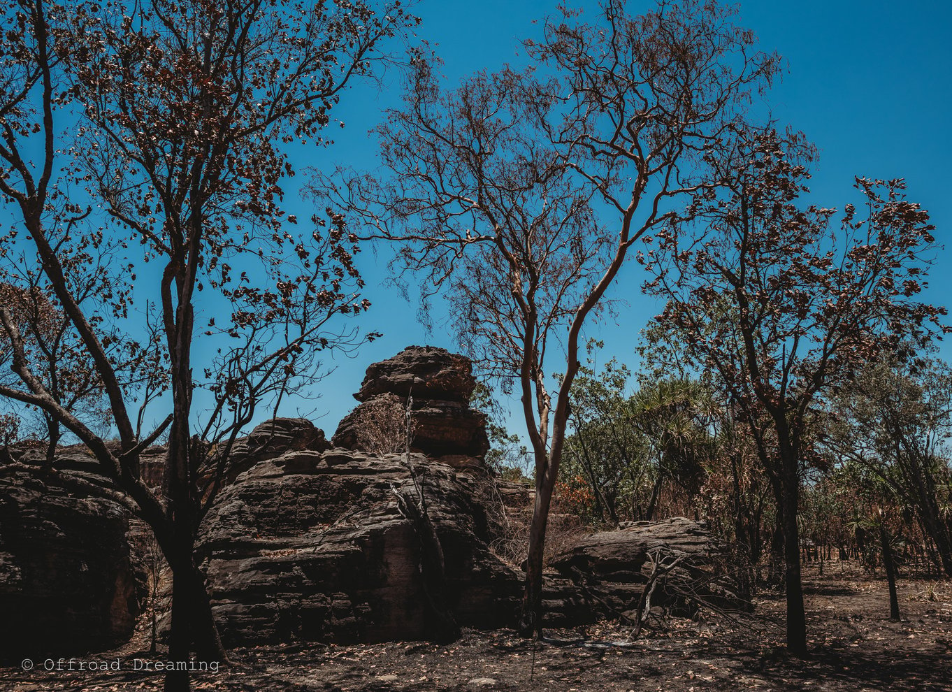 Darwin: Kakadu National Park kulturel dagstur med frokost