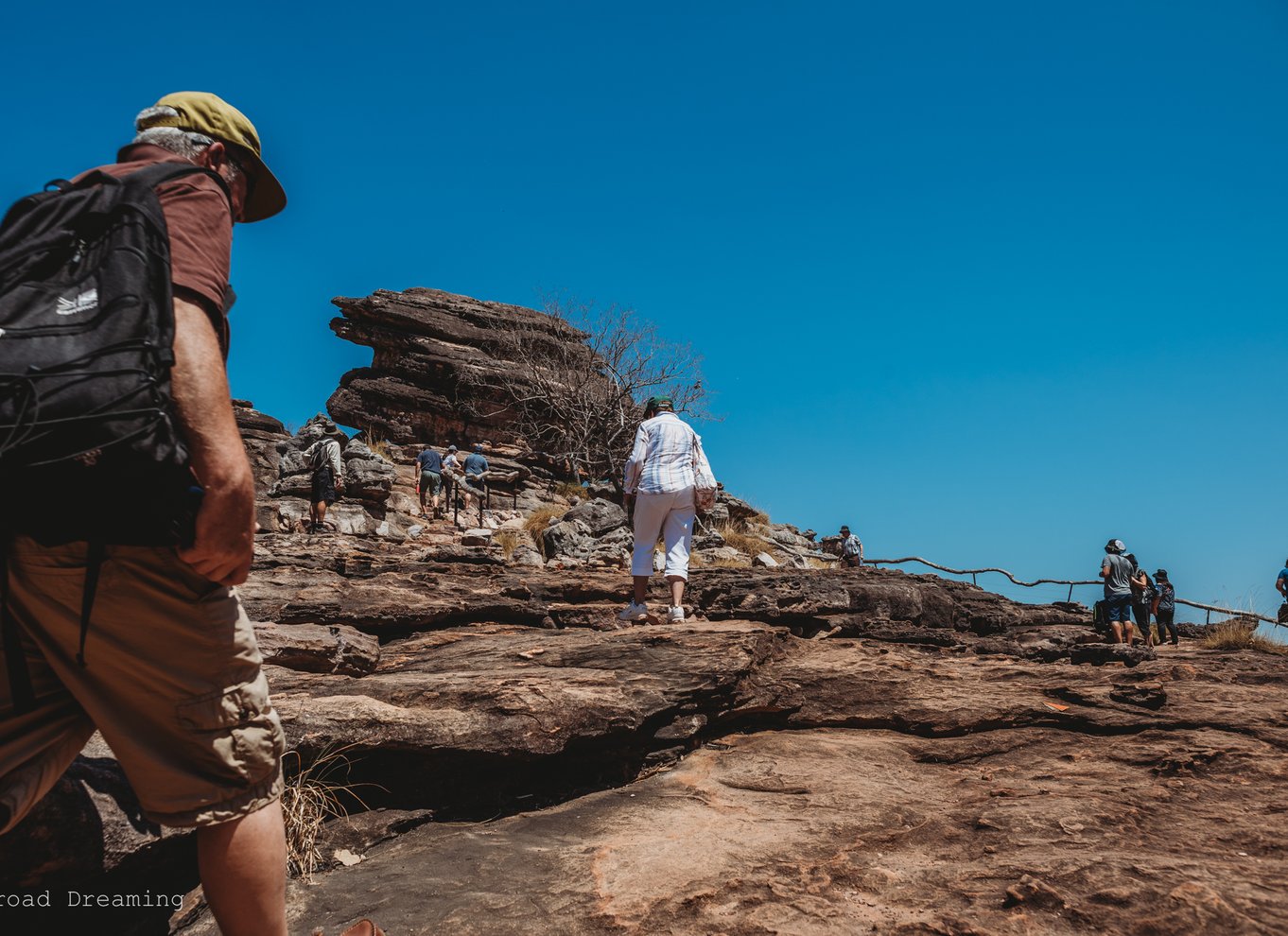 Darwin: Kakadu National Park kulturel dagstur med frokost