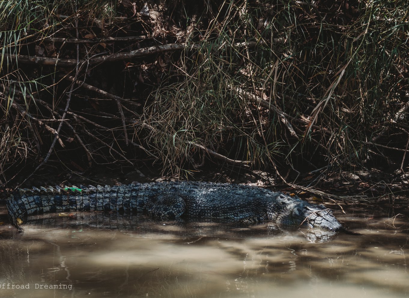 Darwin: Kakadu National Park kulturel dagstur med frokost