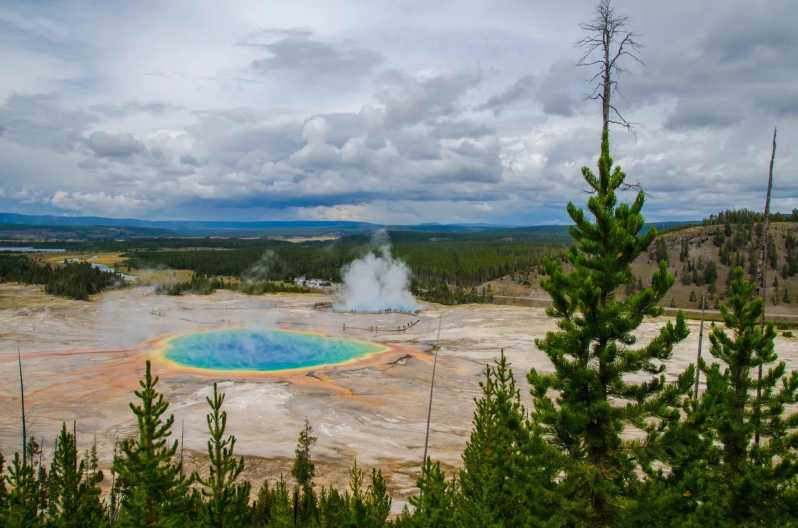 yellowstone national park tours from gardiner mt