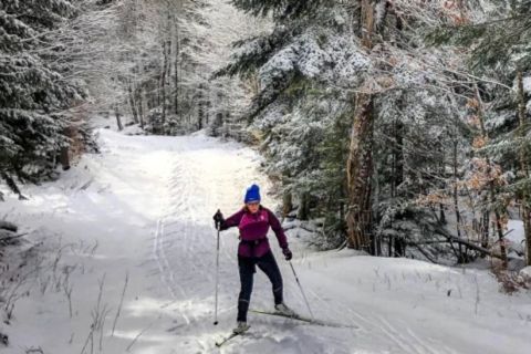 From Gardiner: Guided Yellowstone Cross-Country Skiing Tour