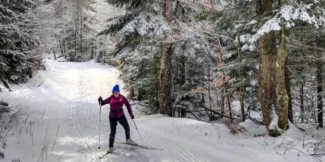 From Gardiner Guided Yellowstone CrossCountry Skiing Tour GetYourGuide