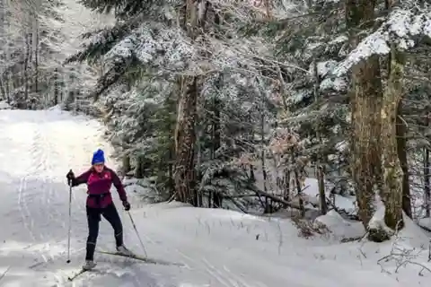 From Gardiner: Guided Yellowstone Cross-Country Skiing Tour