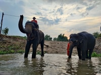 Bangkok, Privatreise zu Ayutthaya Tempeln & Nachtmarkt - Hizvo