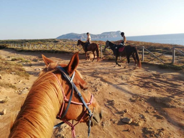 Visit Alghero Guided Horseback Ride at Lake Baratz & Porto Ferro in Alghero, Sardinia, Italy