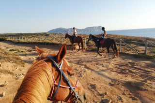 Alghero: Guided Horseback Ride at Lake Baratz & Porto Ferro