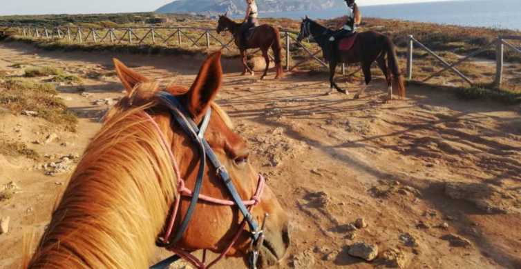 Alghero: Paseo guiado a caballo por el lago Baratz y Porto Ferro