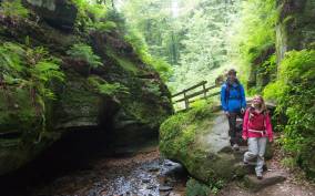 Luxembourg: Nature, History and Castles Full-Day Tour