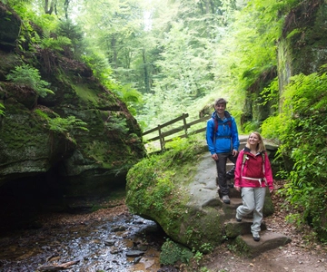 Luxemburgo: Natureza, História e Castelos Excursão de 1 dia