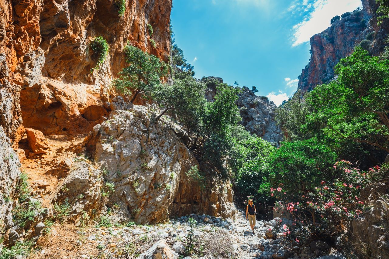 Kreta: Wanderung durch die Kritsa-Schlucht mit Picknick und Badestopp