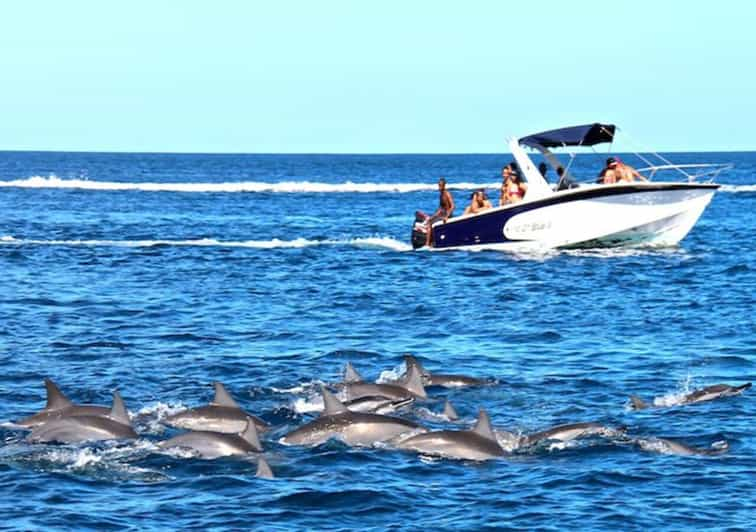 Mauritius: Dolphin Encounter Boat Tour and 7 Colored Earths | GetYourGuide