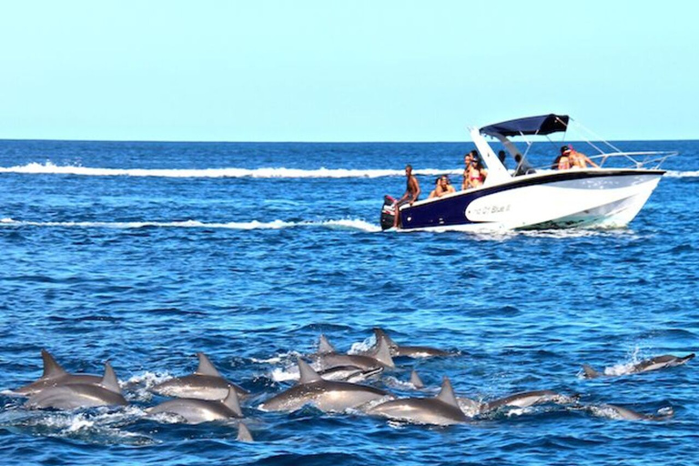 Excursión con delfines (en barco) y Chamarel 7 tierras de colores