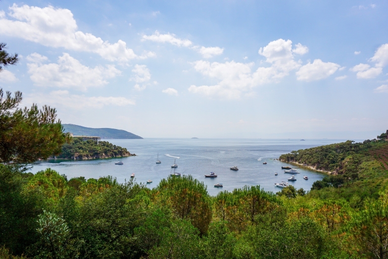 Vanuit Istanbul: Princess Islands Tour met lunchbuffet en ophalenPrincess Island (2 eilanden) Tour met lunchbuffet en ophalen