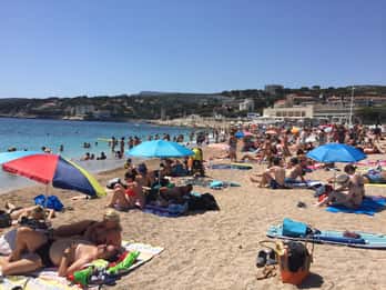 Cassis, Bandol, Le Castellet wine tour: Cliffs and Vineyards
